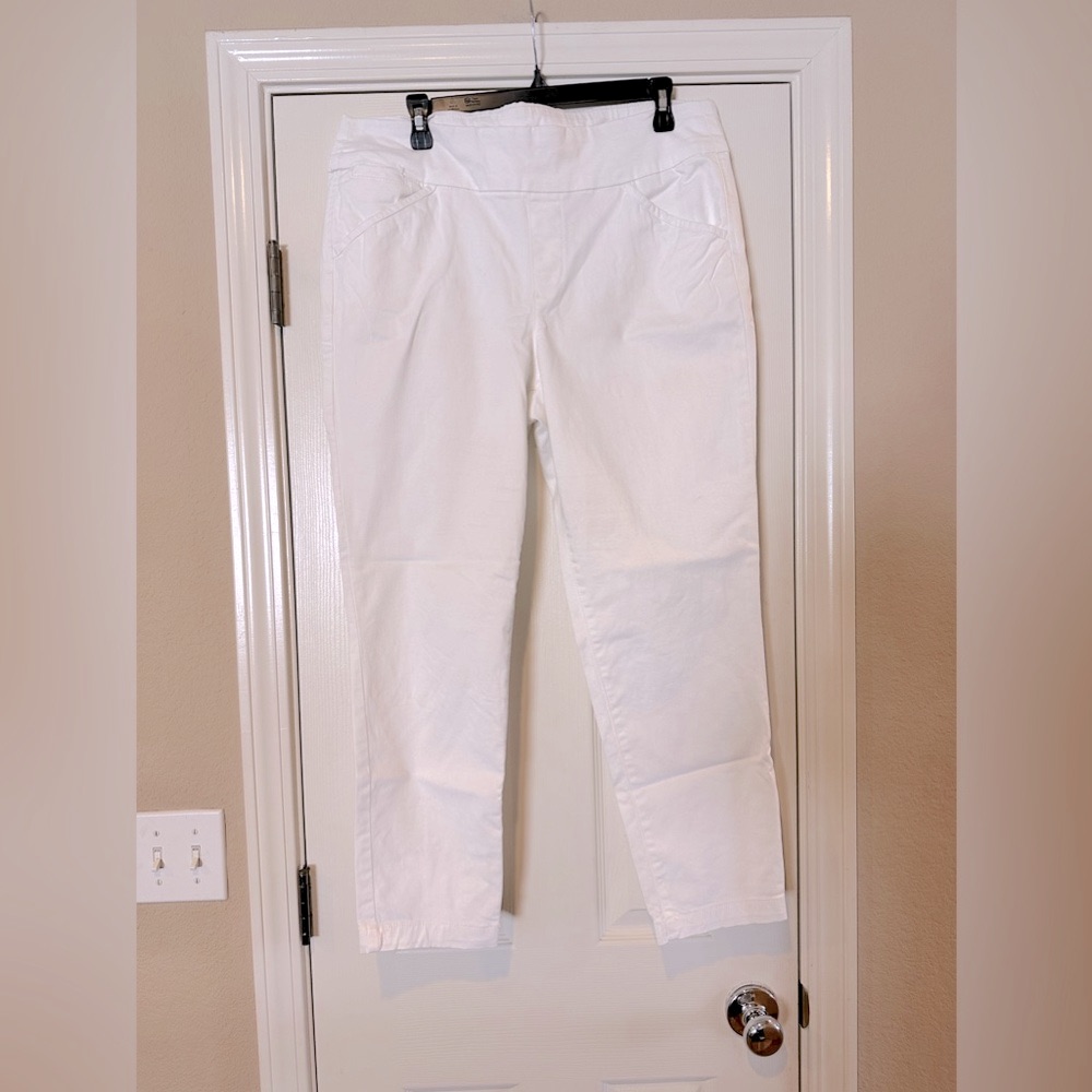 Style  Co Macys Brand Pants